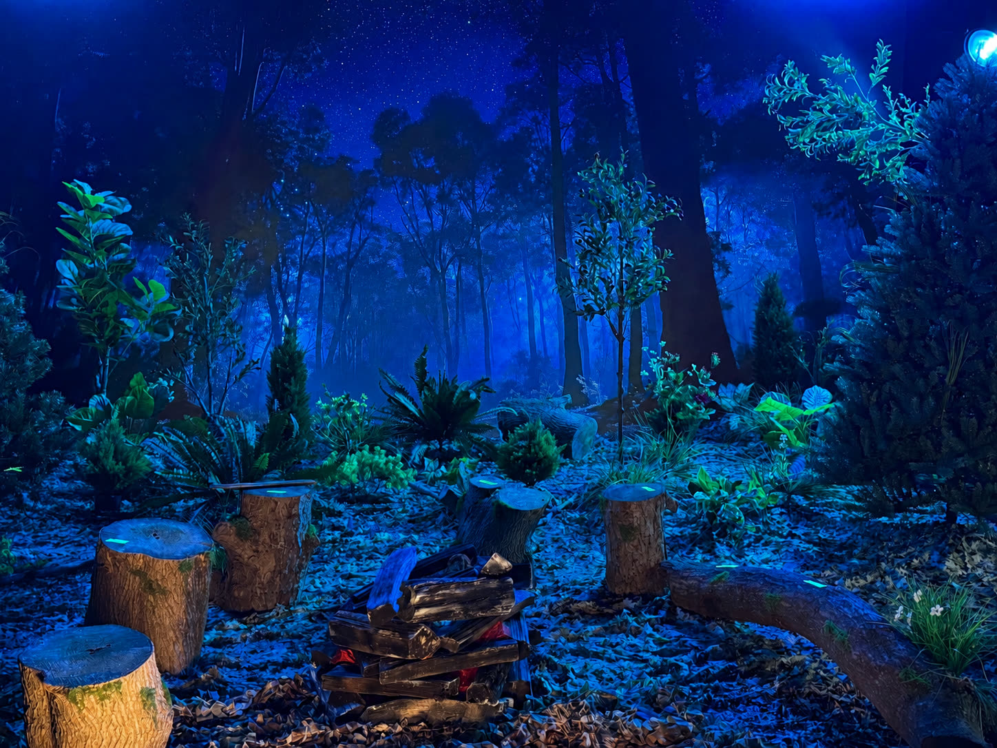 A night forest environment glowing on the Studio C LED wall while the crew shoots a campfire scene on the stage in front of it